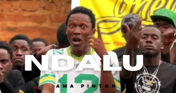 Ndalu by Ama Painton