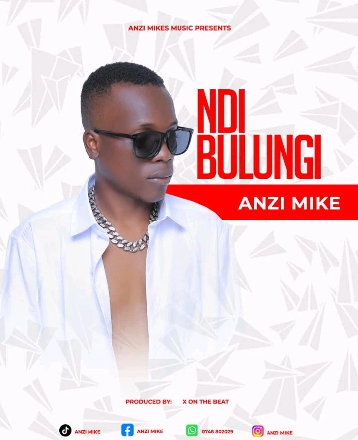 Ndibulungi by Anzi Mikes