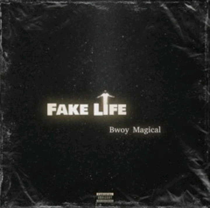 Fake Life by Bwoy Magical