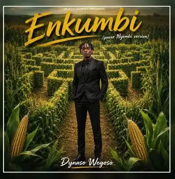 Enkumbi (Paver UCC Version, Paver Nyombi Version) by Dynaso Wegeso