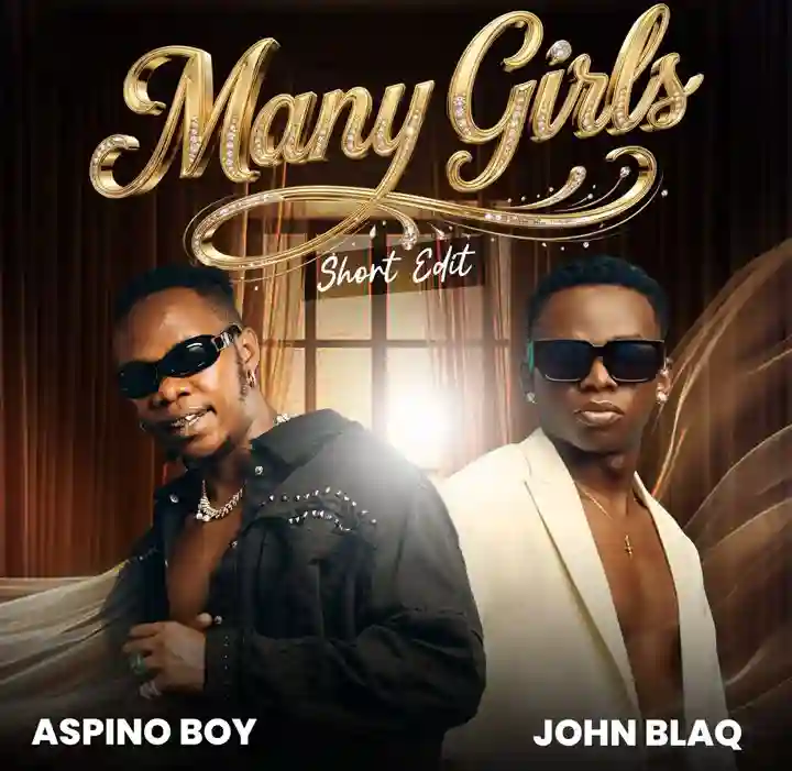 Many Girls Ft Aspino Boy by John Blaq