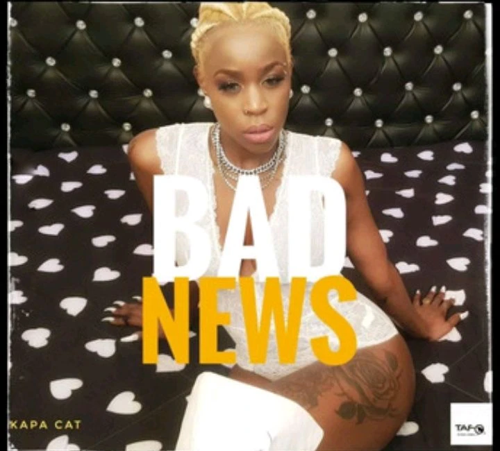 Bad News by Kapa Cat