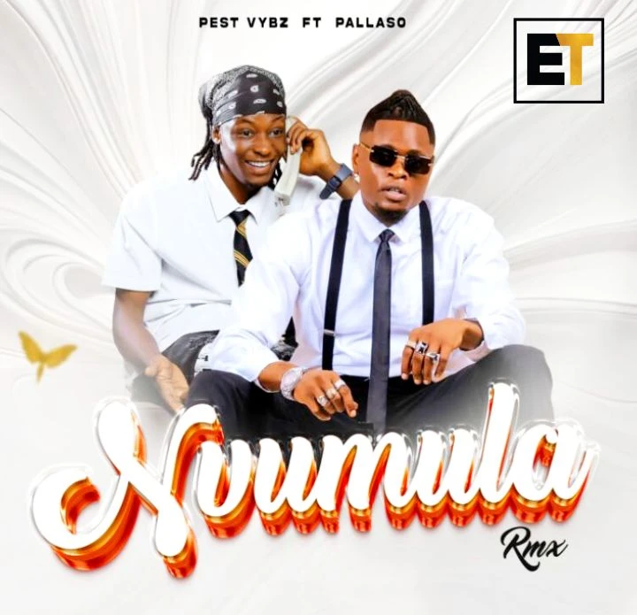 Nvumula Rmx Ft Pest Vybz by Pallaso