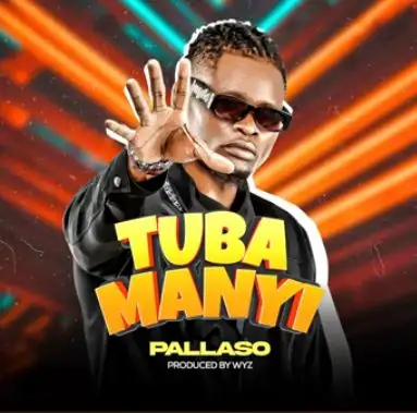 Tubamanyi by Pallaso