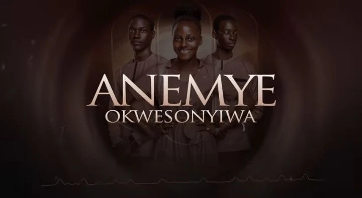 Anemye Okwesonyiwa by Stream Of Life Choir