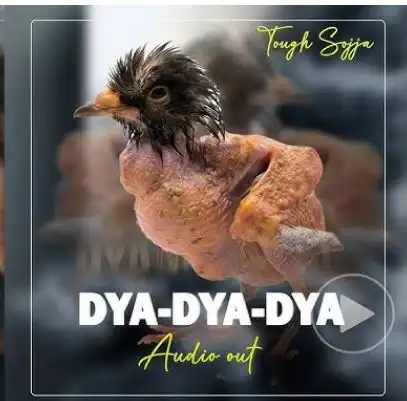 Dya Dya Dya by Tough Sojja