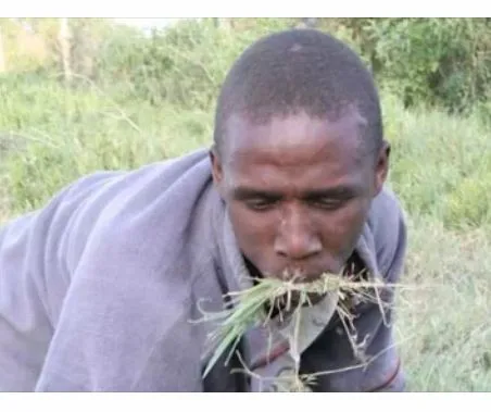 Man Eats Grass to Prove to His Lover That He Has Not Been Cheating